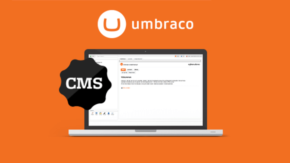 Umbraco CMS Development